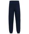 SS156 640560 Fruit of the Loom Iconic Premium Jog Pants Deep Navy colour image